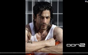 Don 2